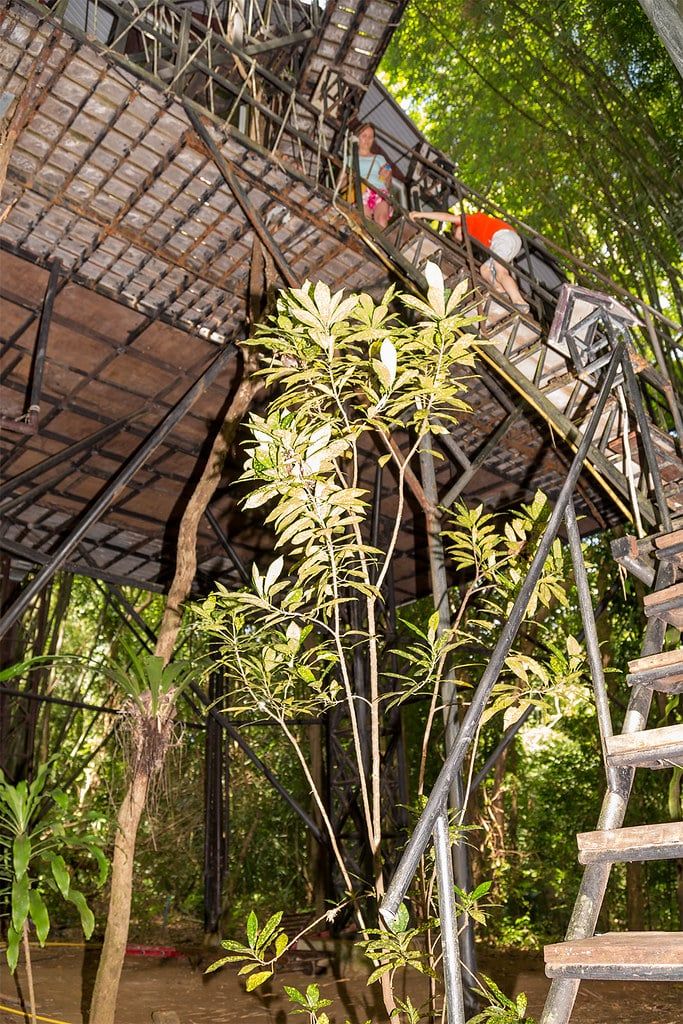ที่พักบ้านต้นไม้แบบยกสูงสร้างขึ้นบนเสาโลหะท่ามกลางต้นไม้ในป่าดิบชื้นที่เขาสก