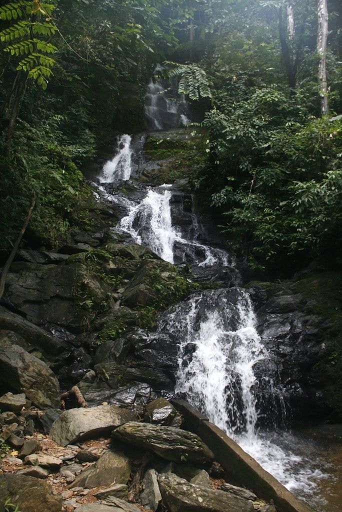 A multi-tiered waterfall cascades down dark rocky steps surrounded by lush rainforest in Khao Sok.