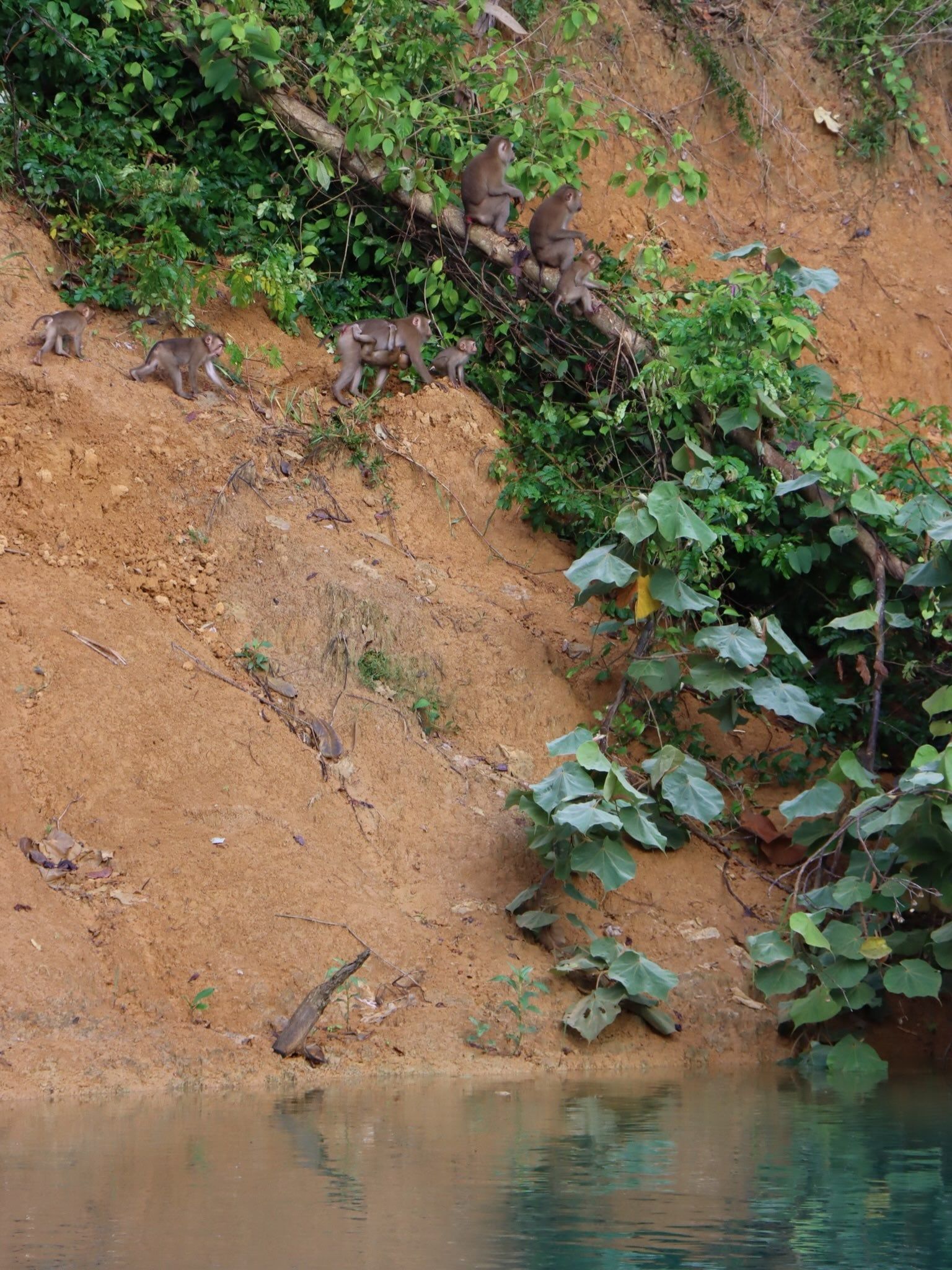 Foto de visitante en tour por Khao Sok