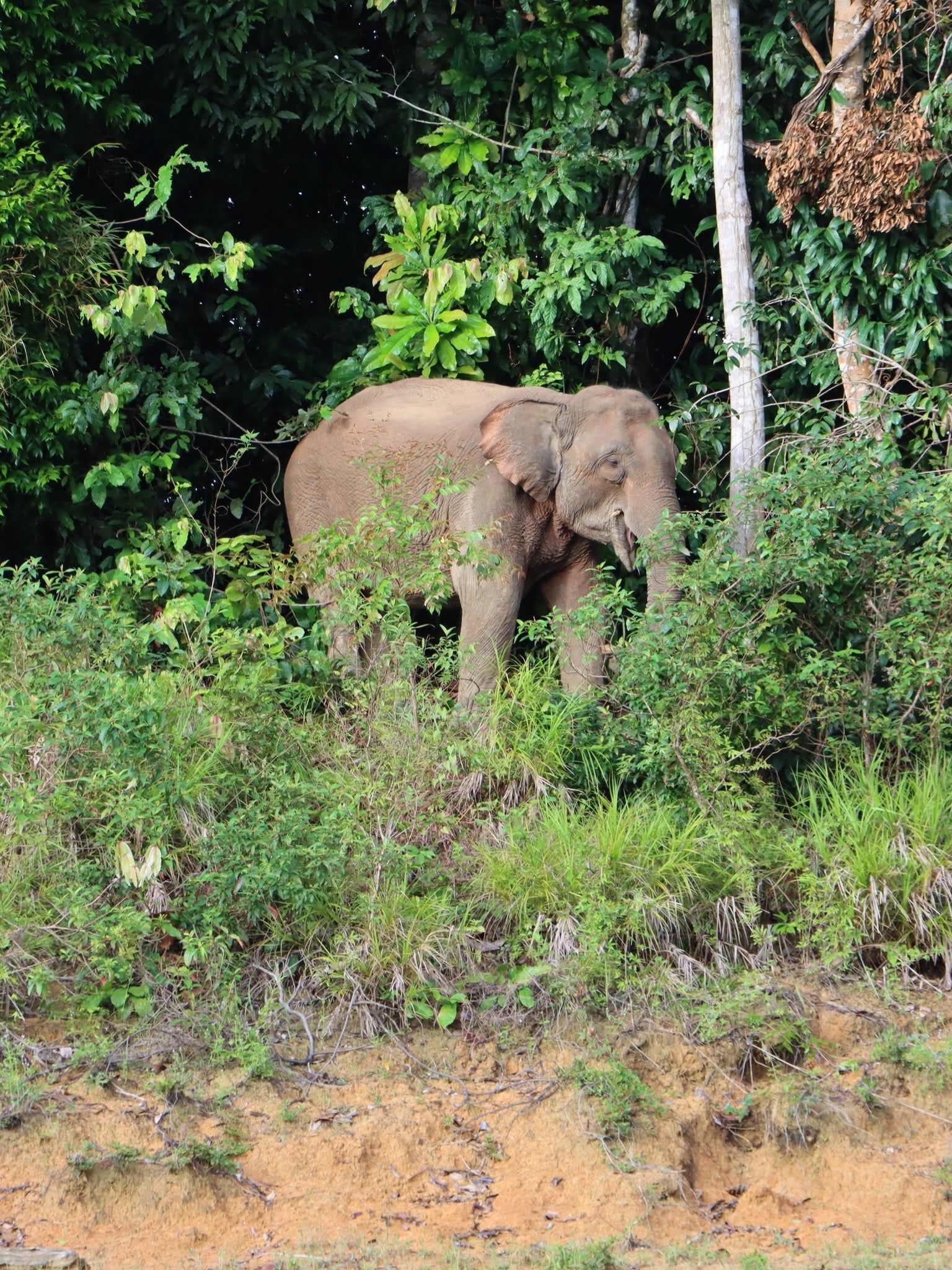 Foto de visitante en tour por Khao Sok